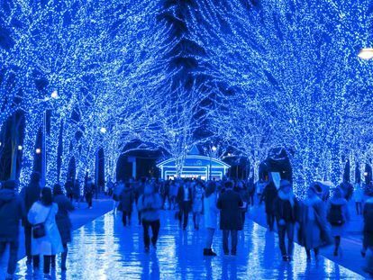 Luces navideñas en Shibuya Koen Dori, en Tokio. 