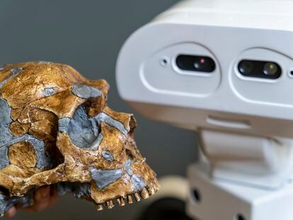 Molde de un cráneo de Neandertal y el robot 'Tiago', ideado por el coordinador científico de METATOOL con la tecnología de PAL Robotics (Barcelona), en la Universidad Técnica de Delf.