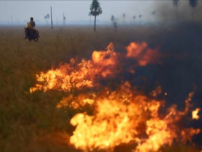 El fuego consume pastizales en San Luis del Palmar, Corrientes.