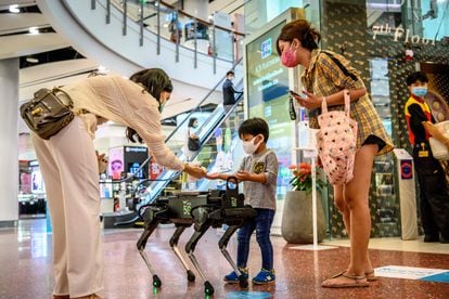 Un robot distribuye desinfectante a los clientes de un centro comercial en Bangkok.