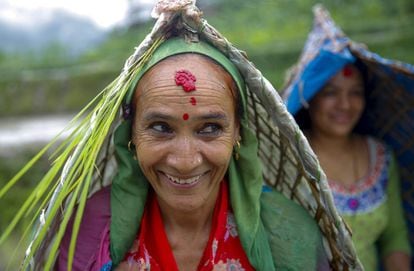 Agricultoras nepalesas sonríen cubiertas con el gorro tradicional llamado 'ghoom' mientras participan en la plantación de arroz en la localidad de Dharmasthali, a las afueras de Katmandú.