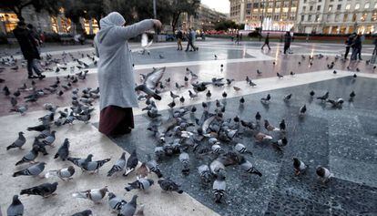 Una dona alimenta coloms a la plaça Catalunya de Barcelona