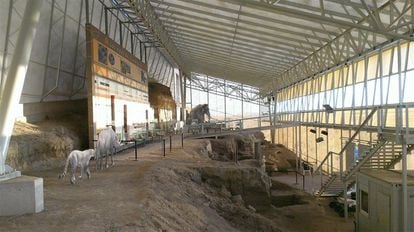 Centro Paleontológico de Fontelas.