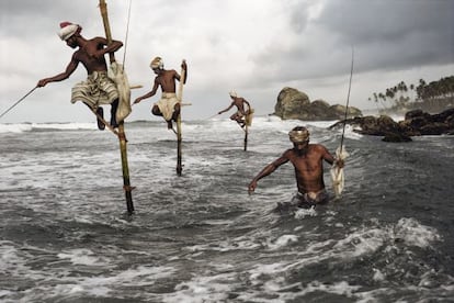 Pescadores en la Costa Sur de Sri Lanka, en Weligama. Subidos a postes de madera de tres o cuatro metros y con una barra perpendicular, denominada ‘petta’, en la que se sientan, pescan arenques y caballas.