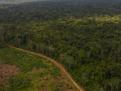 Carretera dentro del Parque Nacional Natural Chiribiquete, en marzo de 2022.