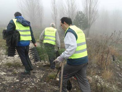 Varios vecinos, en labores de repoblación.