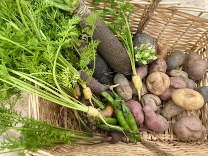 Cesta con zanahorias, guisantes, nabos y patatas feas. J. C. CAPEL