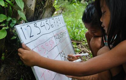 Dos niños Orang Rimba escriben números en una pizarra.