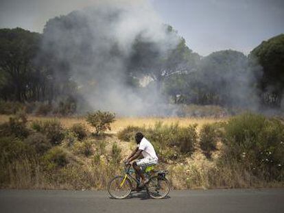 Los ecologistas y la Junta rechazan vincular el incendio forestal con la especulación urbanística
