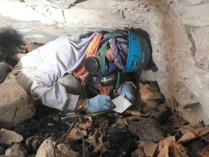 Ikram, trabajando con momias en una tumba en Egipto.