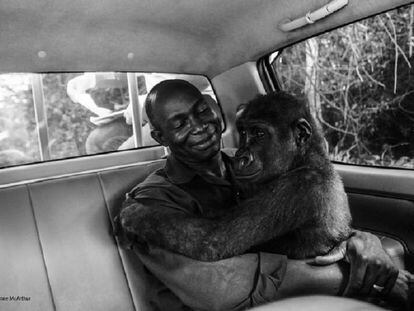 Imagen ganadora del 'Wildlife Photographer of the Year People's Choice'