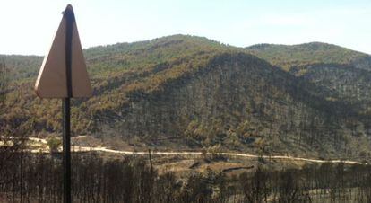 Montes del t&eacute;rmino de Andilla despu&eacute;s del incendio.