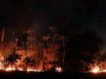 Amazonía brasileña perdió en agosto 1.698 kilómetros cuadrados de su cobertura vegetal por cuenta de las quemadas.