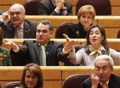 Senadores populares durante la interpelación a Zapatero el pasado miércoles.