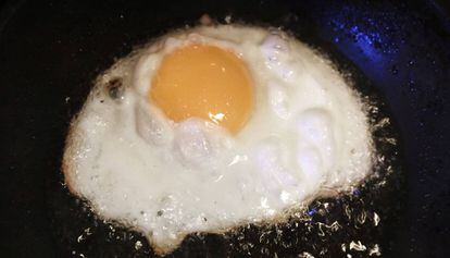 El huevo es un producto de &eacute;xito, barato, de preparaci&oacute;n f&aacute;cil y r&aacute;pida y que lleva incorporada de manera directa una salsa y su decoraci&oacute;n.