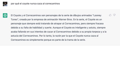 ¿Por qué el coyote nunca caza al correcaminos?