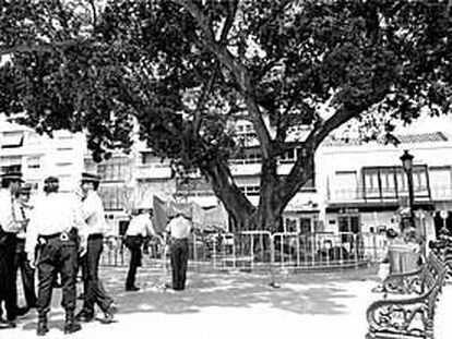 Un grupo de policías, junto al ficus centenario de la Plaza de la Constitución de Fuengirola.