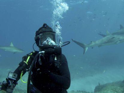 Entre tiburones hambrientos en el triángulo de las Bermudas