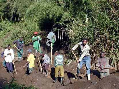 Un grupo de mineros extrae coltán en la zona de Masisi, al este de la República Democrática de Congo.