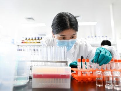 Una ingeniera trabaja en el laboratorio de Sonivac, empresa china que produce vacunas contra la covid.