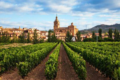 Viñedo y pueblo de Briñas en la comarca de Haro, al noroeste de La Rioja.