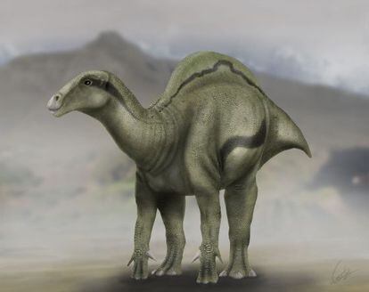 Reconstrucción del dinosaurio `Morelladon beltrani´ descubierto en Morella (Castellón).