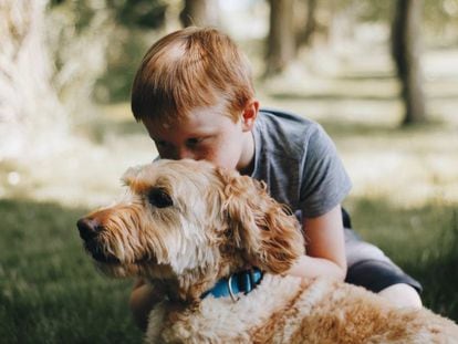 Un niño abraza a su perro.