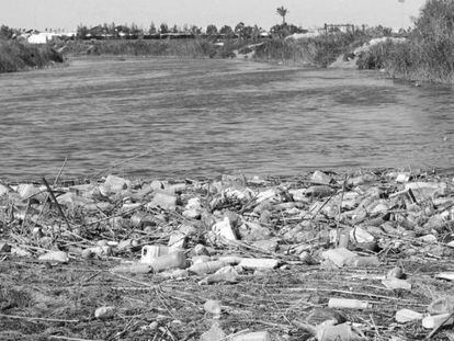 Cientos de botellas de pl&aacute;stico acumuladas en la desembocadura del Segura