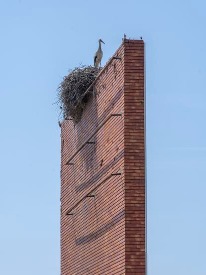 A stork, in Setúbal (Portugal).  With climate change, only younger birds migrate to Africa.