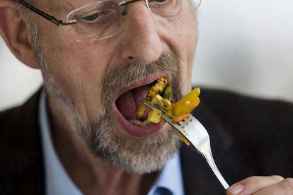 El profesor Arnold van Huis, retratado durante la ingesta de un bocado a base de verduras cocinadas con insectos.