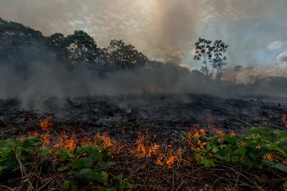 Fuego en la zona de Las Piedras, Madre de Dios