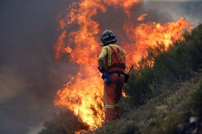 Un bombero en las inmediaciones de la Reserva de la Biosfera de Muniellos, Asturias.