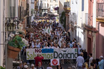 Manifestación hace tres semanas en Sevilla convocada por la plataforma Salvemos Doñana.