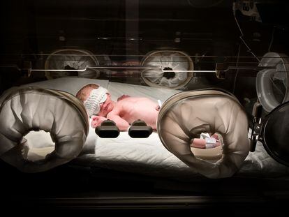 Un recién nacido en la incubadora de un hospital.