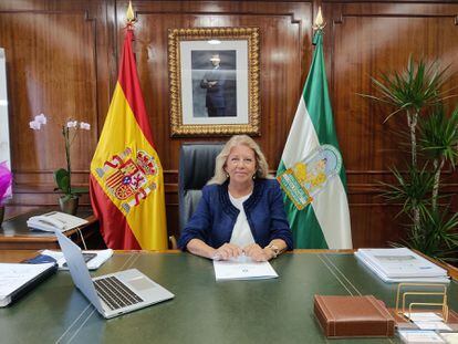 La alcaldesa de Marbella, Ángeles Muñoz
AYUNTAMIENTO DE MARBELLA
  (Foto de ARCHIVO)
08/08/2021