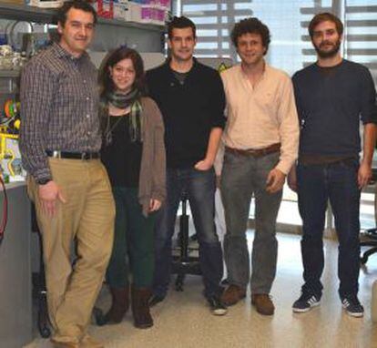Los investigadores de la Universidad Pompeu Fabra Andrés Ozaita, Maria Gomis, Arnau Busquets, Rafael Maldonado y Thomas Guegan.