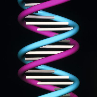 Doble hélice del ADN.
