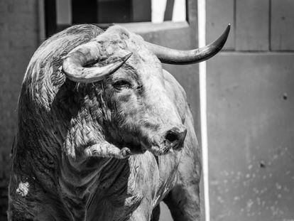 Uno de los toros de la ganadería de Montealto, presentados para la corrida del domingo.