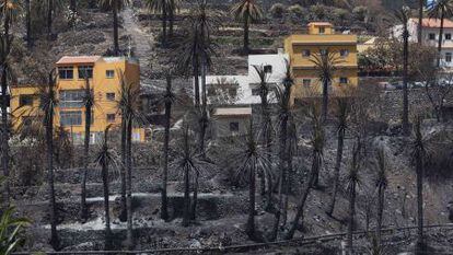 El barranco de Valle Gran Rey, quemado por el fuego en La Gomera.