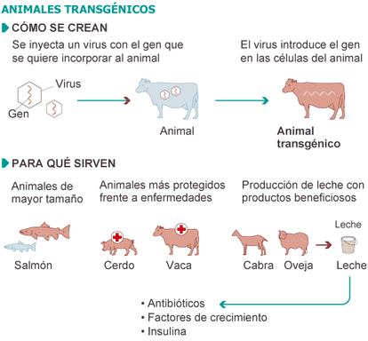 Fuente: FDA y elaboración propia.