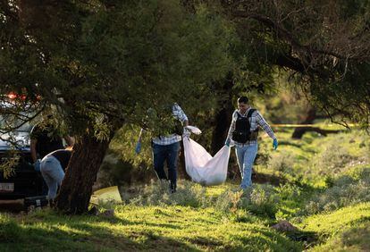 Forenses transportan el cuerpo de un hombre encontrado en una brecha en Guadalupe (Zacatecas) el 4 de septiembre.