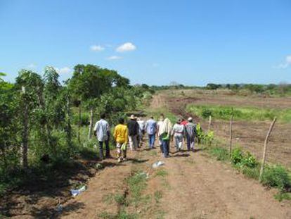 Imagen de El Tamarindo. A la izquierda, tierra cultivada. A la derecha, tierra expropiada.