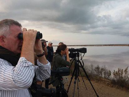 Afeccionats busquen ocells en el Delta de l'Ebre.