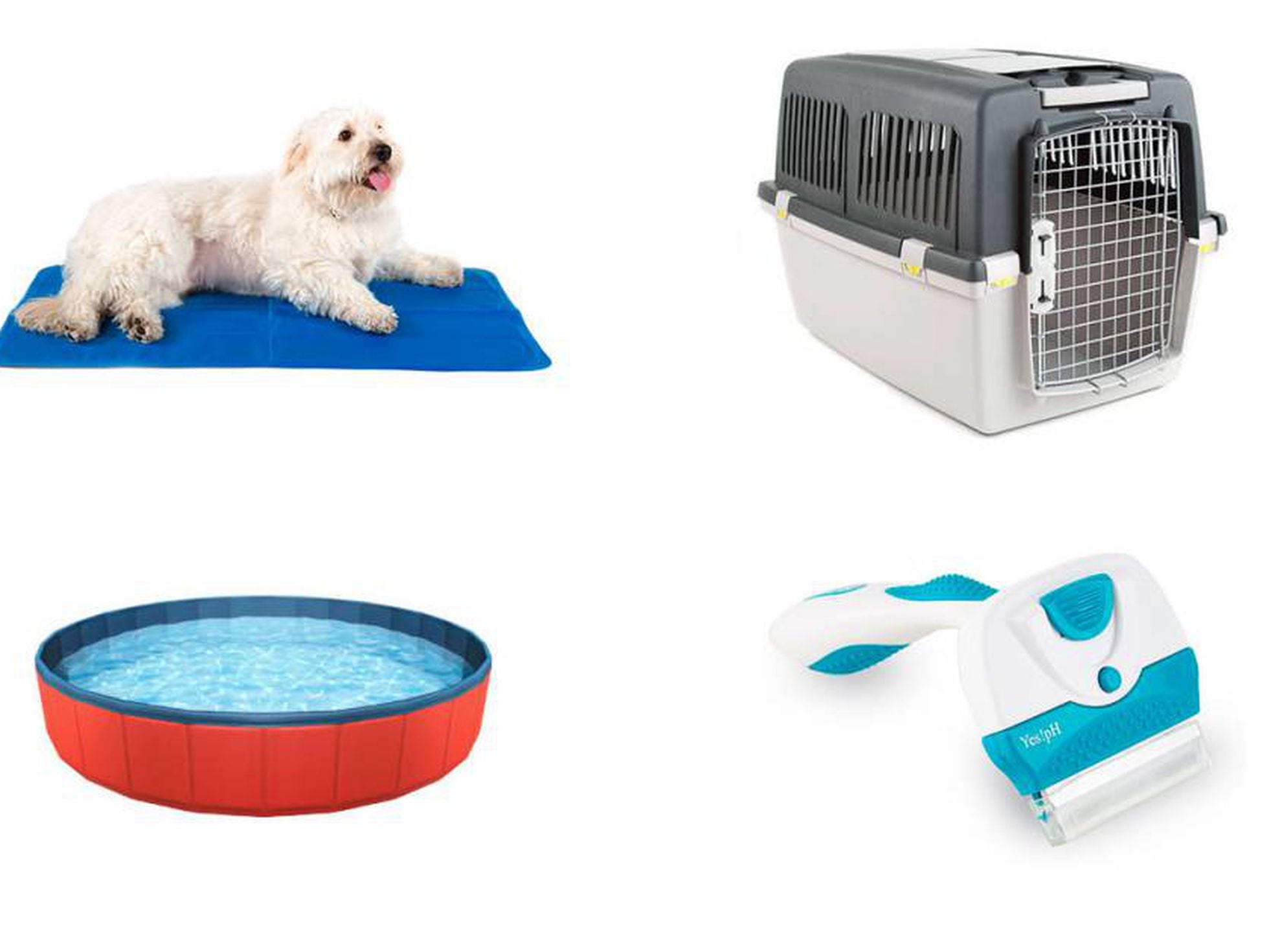 13 accesorios baratos refrescar tu mascota y llevarla de este verano | Escaparate: compras y ofertas EL PAÍS