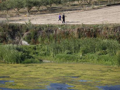 Dos personas pasean por los márgenes de la desembocadura del Ebro