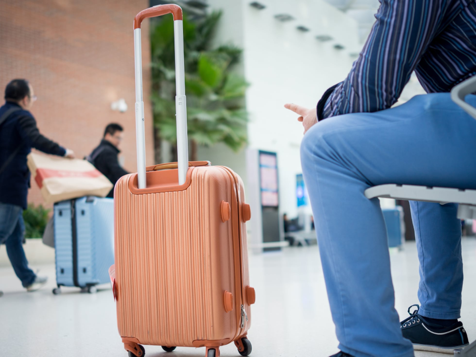 portón Polvoriento aluminio Diez maletas de viaje baratas o con descuento para distintas necesidades:  de cabina, con ruedas o tipo mochila | Escaparate: compras y ofertas | EL  PAÍS