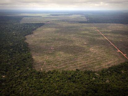 El ritmo de deforestaci&oacute;n de la Amazonia brasile&ntilde;a volvi&oacute; a incrementarse en 2013. 