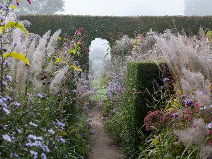 El jardín Plume, en la región de Alta Normandía (Francia), en otoño está cercado por setos de haya y carpe.