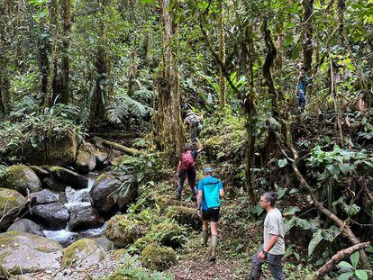 Un grupo de investigadores durante una expedición a través del Bosque Protector Los Cedros, en Ecuador.