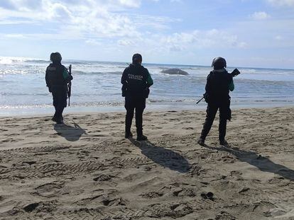 Elementos de la Secretaría de Seguridad Pública de Guerrero observan a la ballena varada en una playa de Acapulco, el 1 de febrero de 2024.